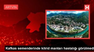 kafkas-semenderinde-kitrid-mantari-hastaligi-gorulmedi-BlSY34xG.jpg