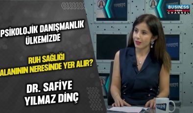 PSİKOLOJİK DANIŞMANLIK ÜLKEMİZDE RUH SAĞLIĞI ALANININ NERESİNDE YER ALIR ? DR. SAFİYE YILMAZ DİNÇ