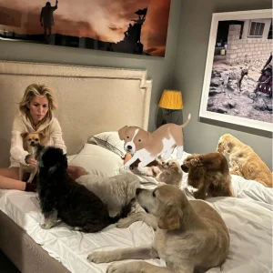 66f38c861504a630__w1200xh1202