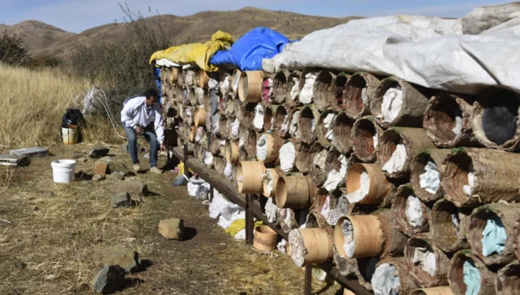 Bitlis’in Altın Ödüllü Karakovan Balında Hasat Zamanı: Rekolte ve Kalite Zirvede