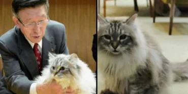 67521a2a5429e583__w1200xh900