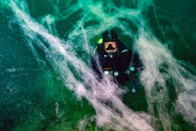 67762c72be3ef881__w1200xh900