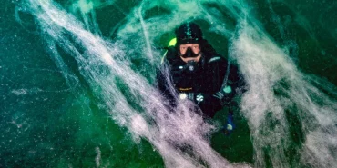 67762c72be3ef881__w1200xh900