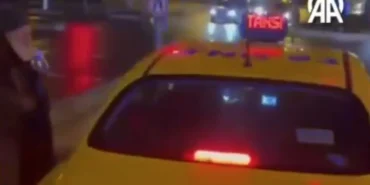 67b34e8ad3c49660__w1200xh1393