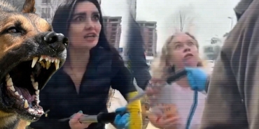 kendimizi-oldururuz-diyerek-engel-oldular-esenyurtta-basibos-sokak-kopeklerinin-toplanmasi-engellendi-17422899293482