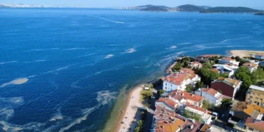 681d03c818569203__w1200xh675