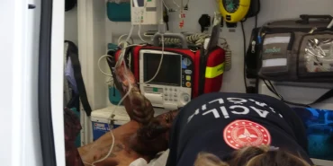 6825810498c92435__w1200xh675