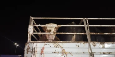 682e632fd2d30323__w1200xh900