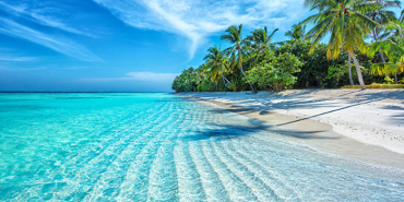 ekran-goruntusu-2025-05-07-190406-wfv6