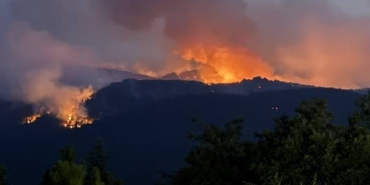 Bursa Orman Yangınında Acı Kayıp 4 Kişi Hayatını Kaybetti