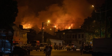 Sakarya'da Orman Yangını