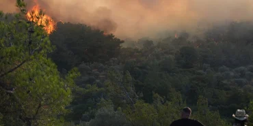 a-a-20250713-38550797-38550795-i-z-m-i-r-i-n-u-r-l-a-i-l-c-e-s-i-n-d-e-c-i-k-a-n-o-r-m-a-n-y-a-n-g-i-n-a-m-u-d-a-h-a-l-e-e-d-i-l-i-y-o-r