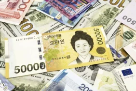 guney-korede-vatandaslara-karsiliksiz-para-dagitimi-UD7lxeIt-1100x650