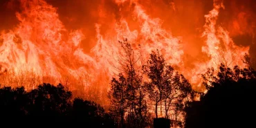 Sıcaklıklar Artıyor Orman Yangını Riski Yeniden Yükseldi