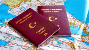 vize-pasaport-4RMh_cover
