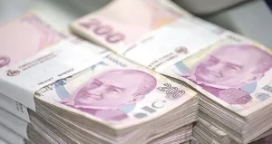 650x344-turkiyede-yaratilan-para-tarihi-ortalamalarina-yakin-seyrediyor-1660293466200